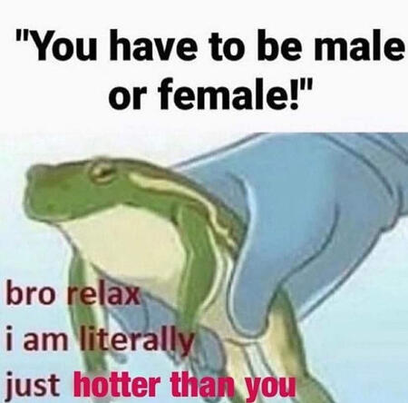 “you have to be male or female!” bro relax i am literally just hotter than you